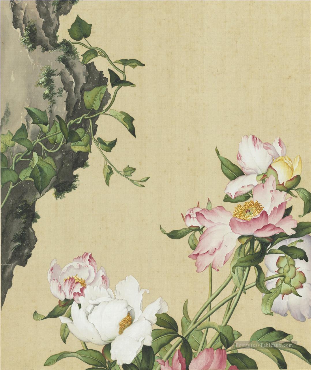 Image de Paeonia lactiflora de Xian e Changchun album lang brillant Giuseppe Castiglione ancienne Chine à l’encre Peintures à l'huile